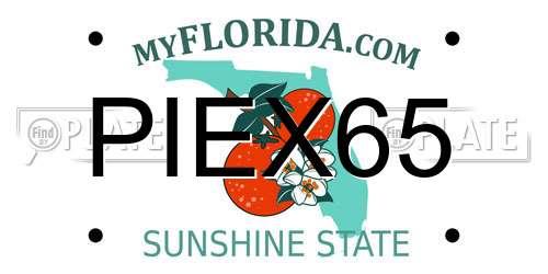 PIEX65 Florida License Plate