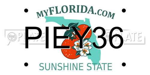 PIEY36 Florida License Plate
