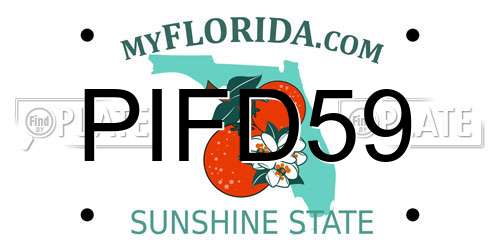 PIFD59 Florida License Plate