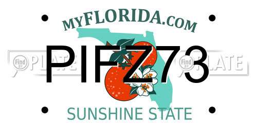 PIFZ73 Florida License Plate
