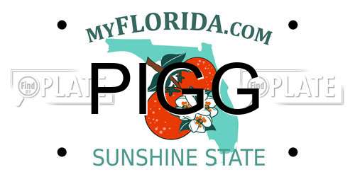 PIGG Florida License Plate