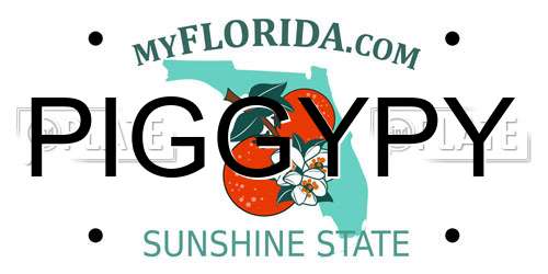 PIGGYPY Florida License Plate