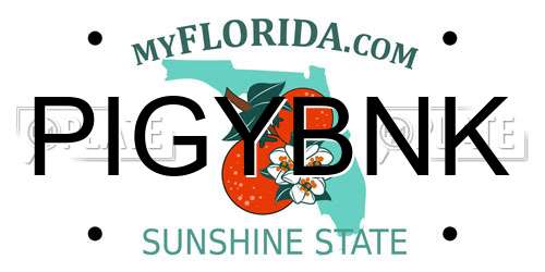 PIGYBNK Florida License Plate