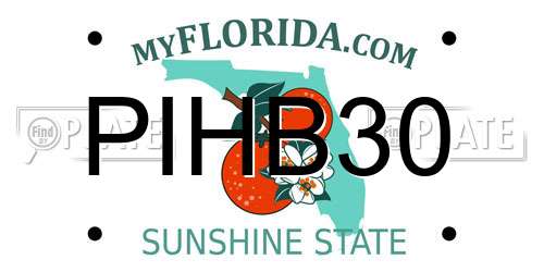 PIHB30 Florida License Plate