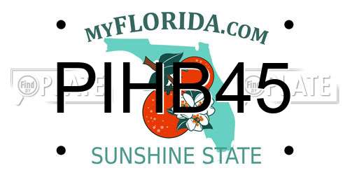 PIHB45 Florida License Plate