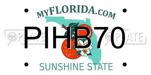 PIHB70 Florida License Plate