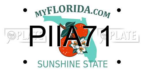 PIIA71 Florida License Plate