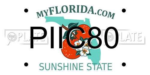 PIIC80 Florida License Plate