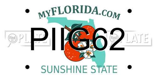 PIIG62 Florida License Plate