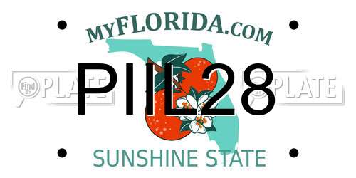 PIIL28 Florida License Plate