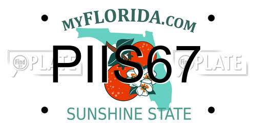 PIIS67 Florida License Plate