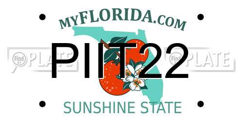 PIIT22 Florida License Plate