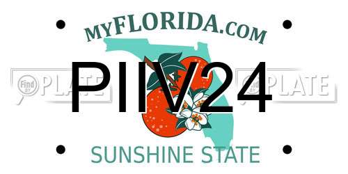 PIIV24 Florida License Plate