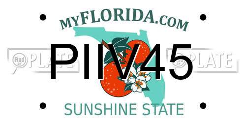 PIIV45 Florida License Plate