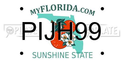 PIJH99 Florida License Plate