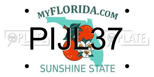 PIJL37 Florida License Plate