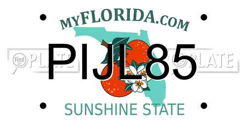 PIJL85 Florida License Plate