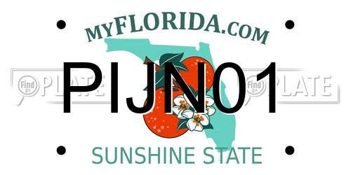 PIJN01 Florida License Plate