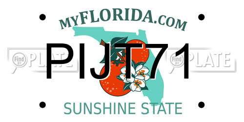 PIJT71 Florida License Plate