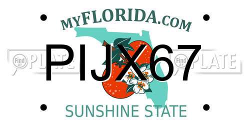 PIJX67 Florida License Plate