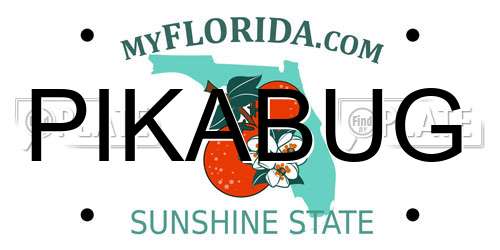 PIKABUG Florida License Plate