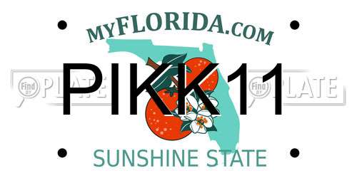 PIKK11 Florida License Plate