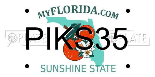 PIKS35 Florida License Plate