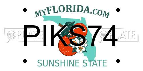 PIKS74 Florida License Plate