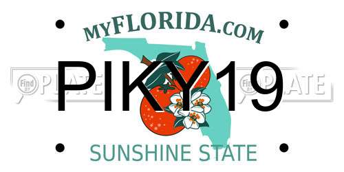 PIKY19 Florida License Plate