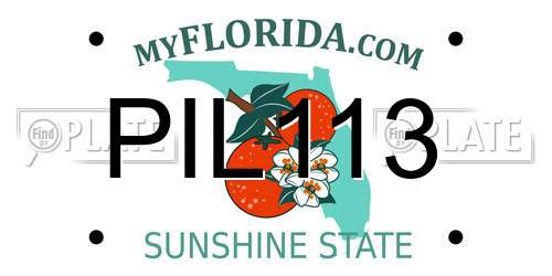 PIL113 Florida License Plate
