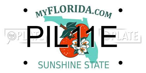 PIL11E Florida License Plate
