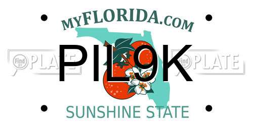 PIL9K Florida License Plate