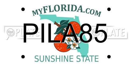 PILA85 Florida License Plate