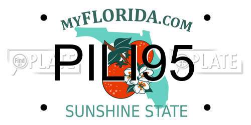 PILI95 Florida License Plate