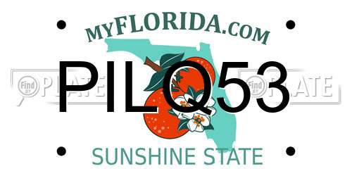 PILQ53 Florida License Plate