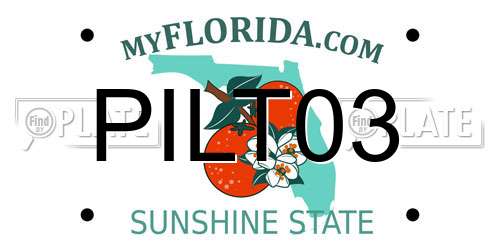 PILT03 Florida License Plate