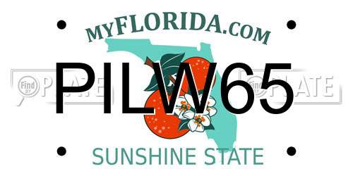 PILW65 Florida License Plate