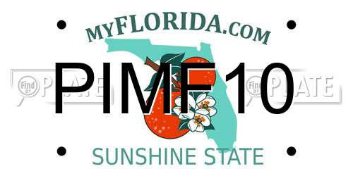 PIMF10 Florida License Plate