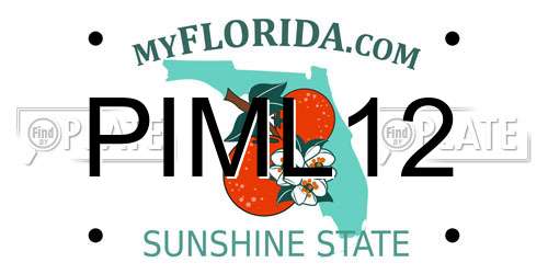 PIML12 Florida License Plate