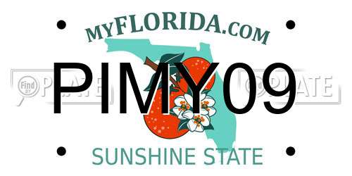 PIMY09 Florida License Plate