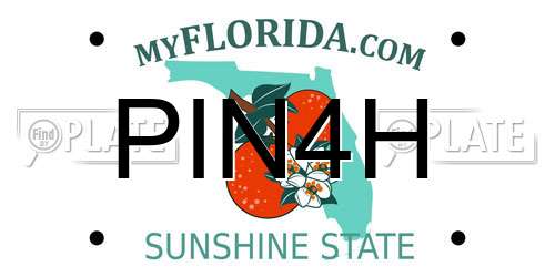 PIN4H Florida License Plate