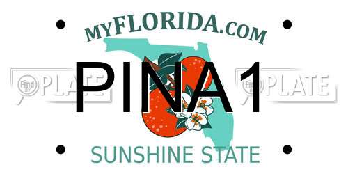 PINA1 Florida License Plate