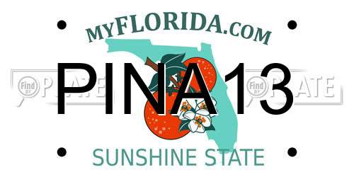 PINA13 Florida License Plate