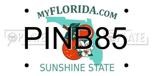 PINB85 Florida License Plate