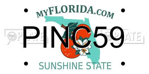 PINC59 Florida License Plate