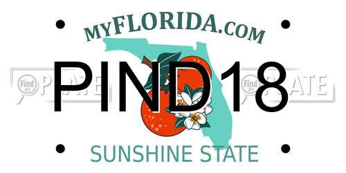 PIND18 Florida License Plate