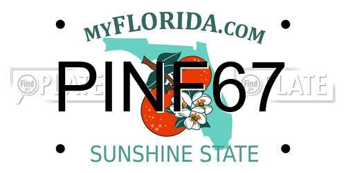 PINF67 Florida License Plate