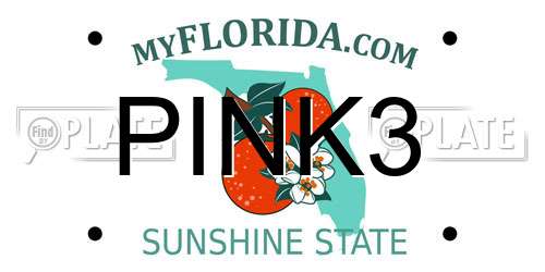 PINK3 Florida License Plate