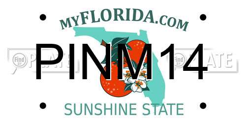 PINM14 Florida License Plate