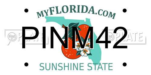 PINM42 Florida License Plate